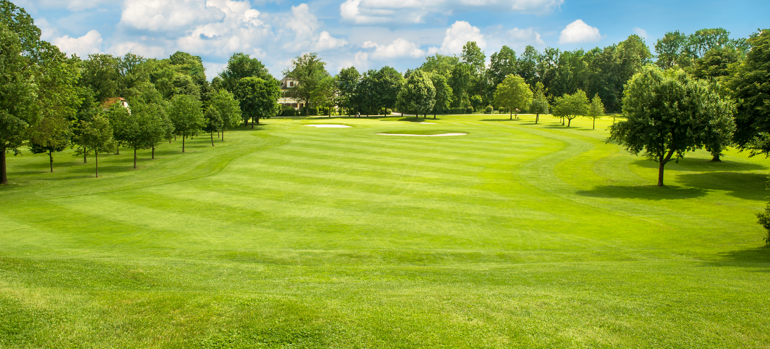 OPTI-SEED GOLF FAIRWAY