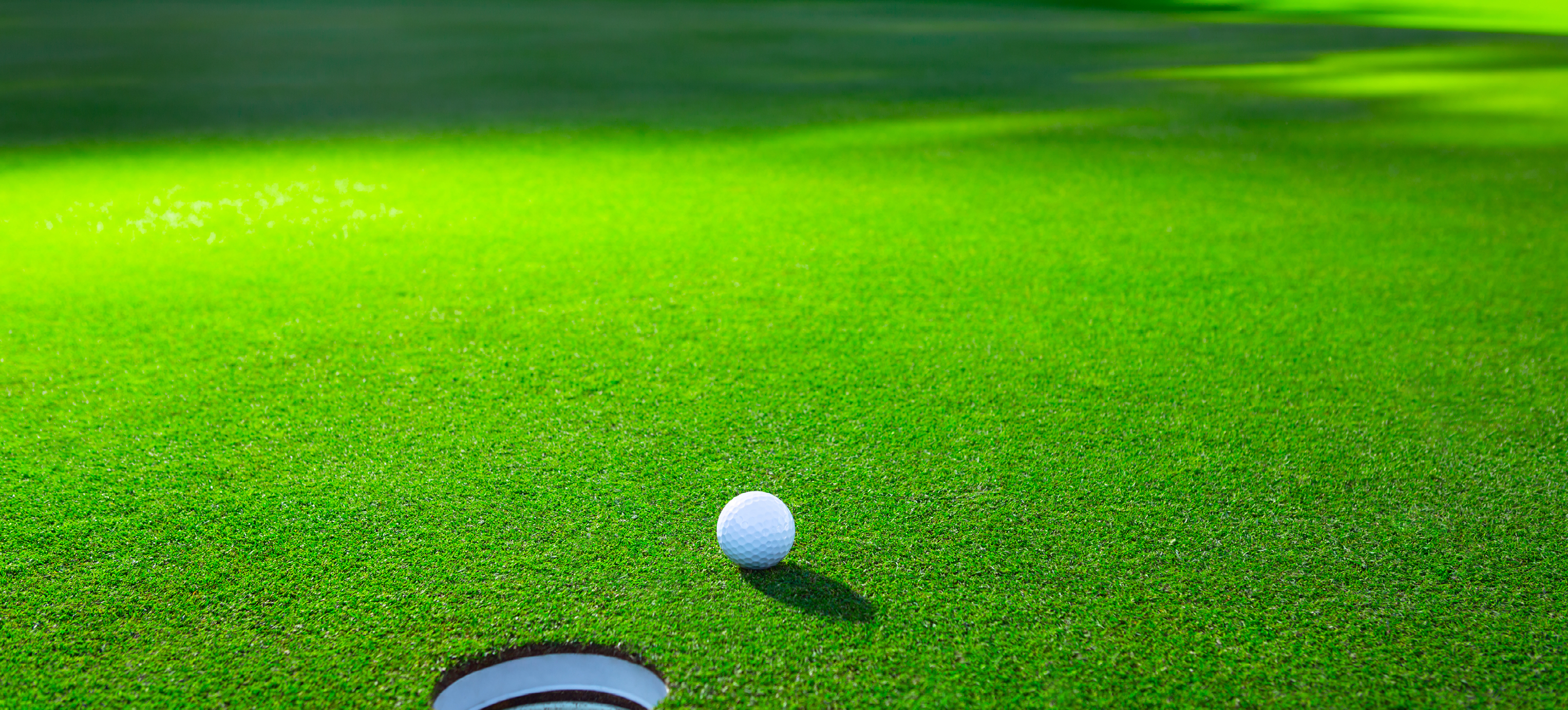 OPTI-SEED GOLF GREENS