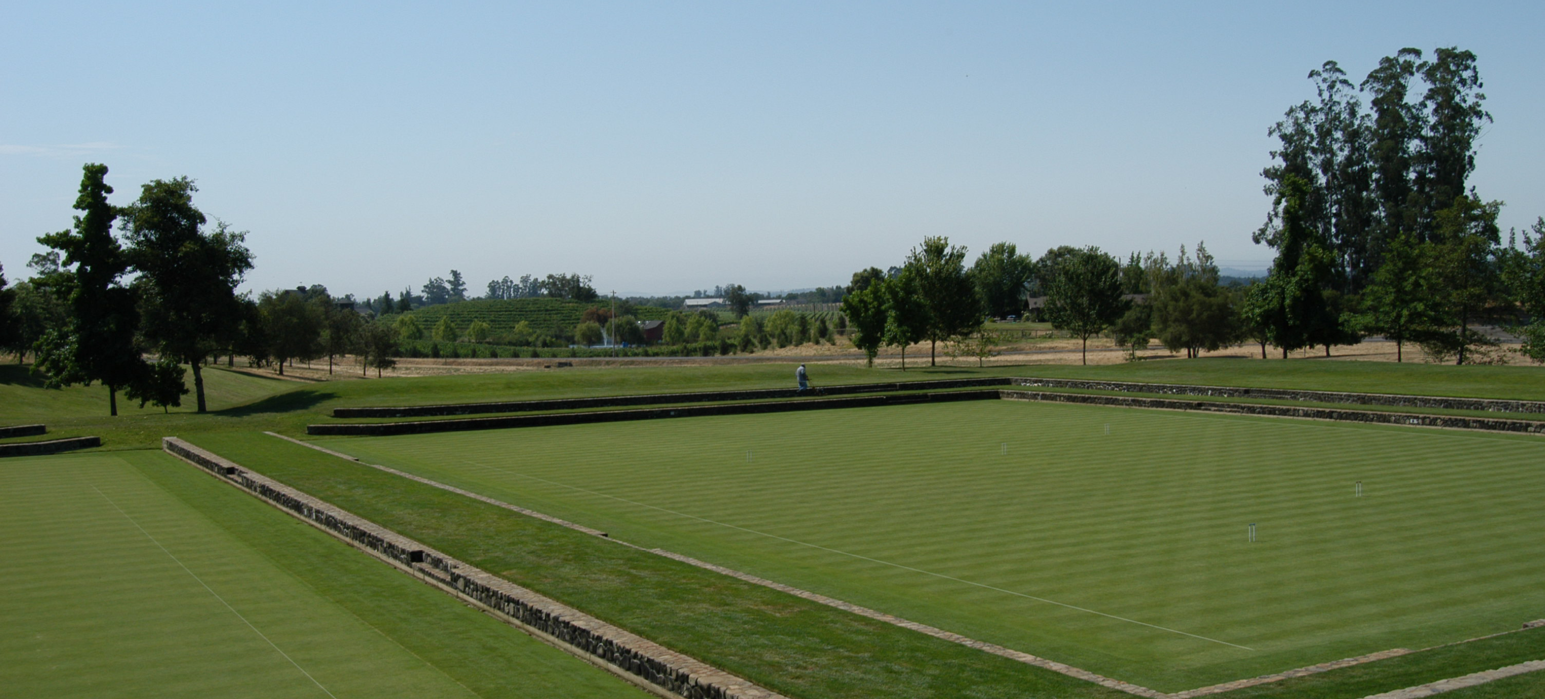 OPTI-SEED REGENERATION