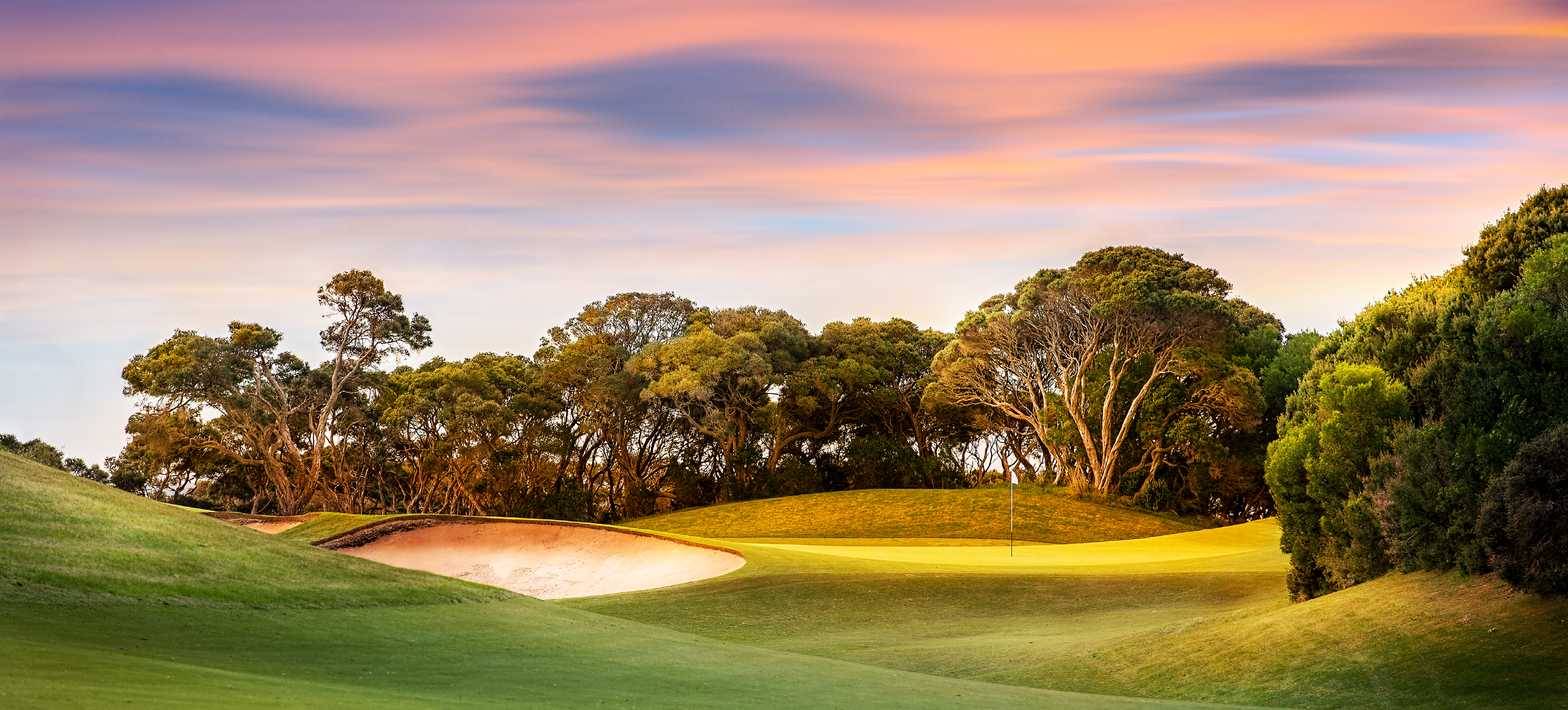 OPTI-SEED PRO MASTERS